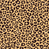 Feral Denim Leopard Ruffle Shorts