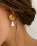 Matte Gold Seashell Earrings