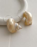 Natural Ivory Shell Hoop Earrings