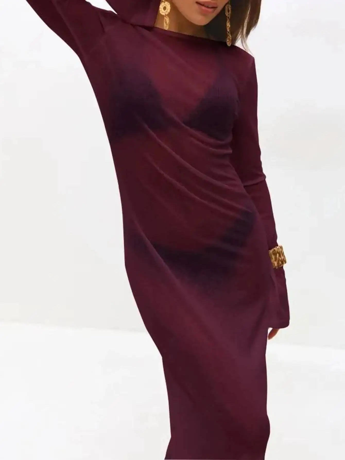 Monarch Wine Sheer Cover-Up Dress